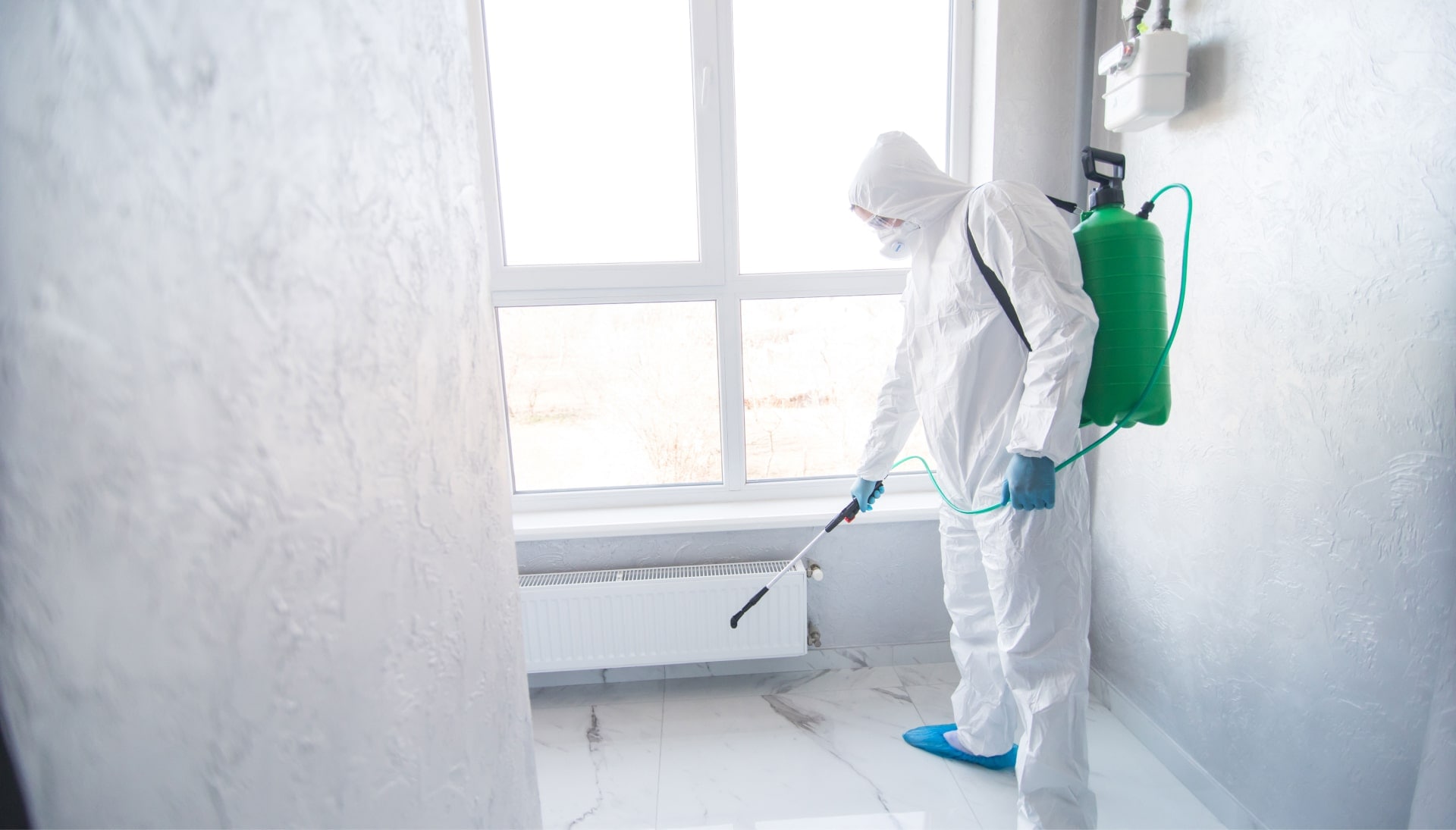 Mold Inspection Services in Spokane Valley